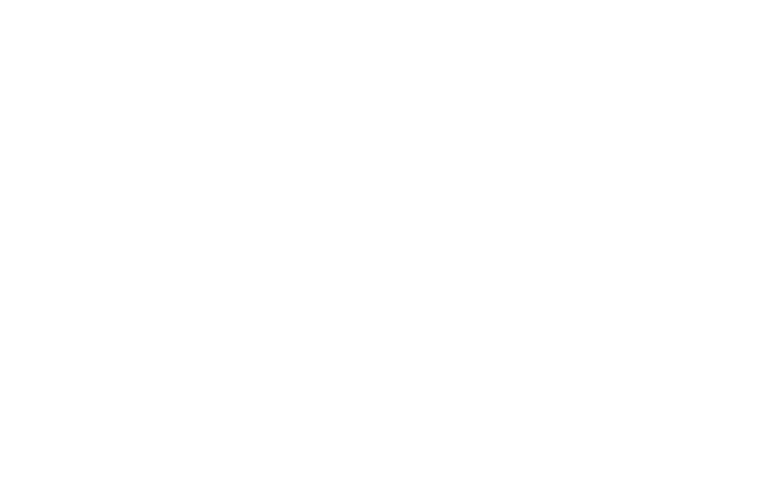 Norlin-logo