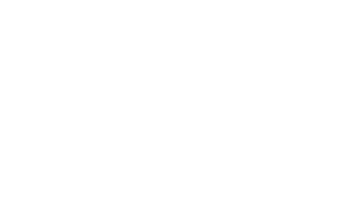 Ray-sports-Logo